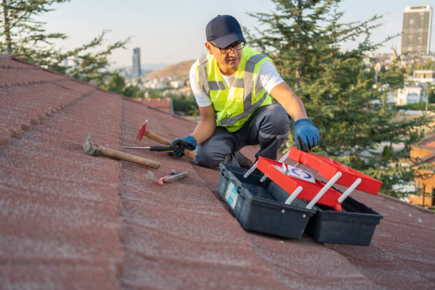 Best Shed Removal  in Guadalupe, AZ